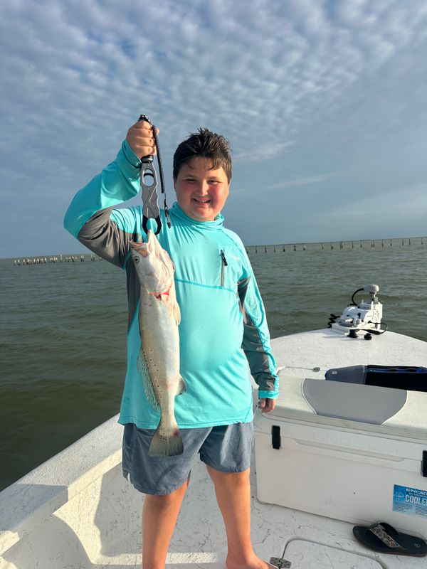 Villarreal Guide Services, LLC
