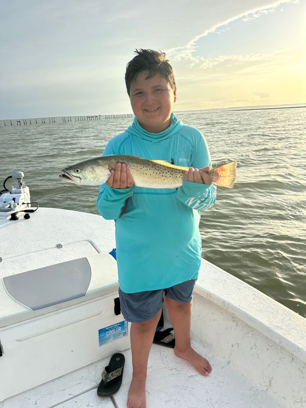 Villarreal Guide Services, LLC
