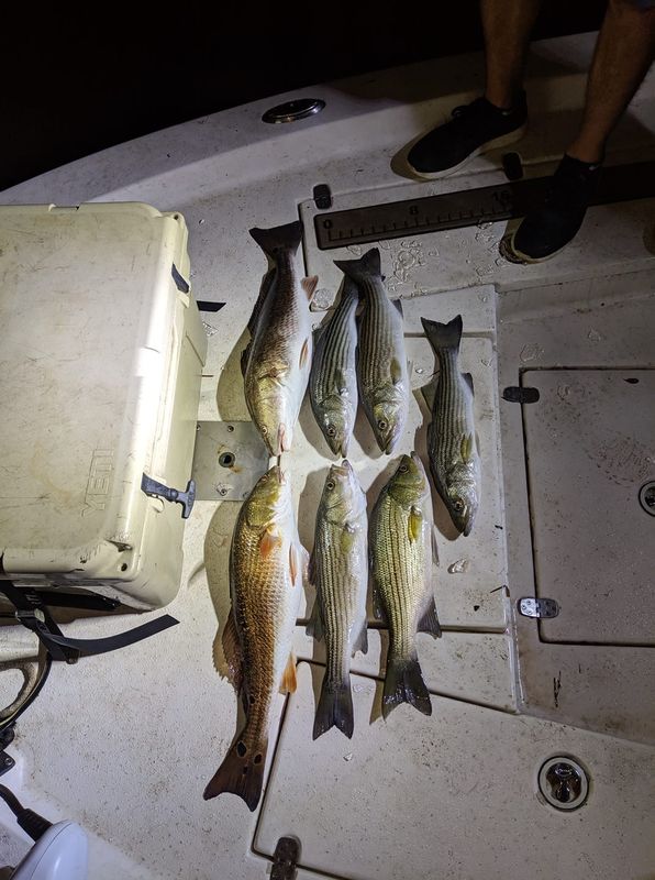 Porter Rock Charters