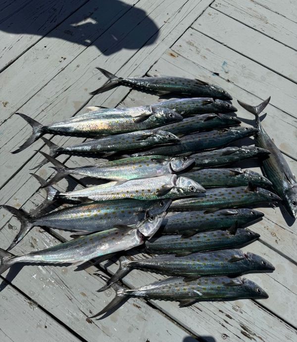 Second Sport Charters