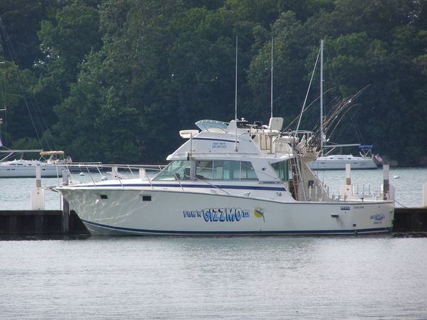 Gizzmo Charters