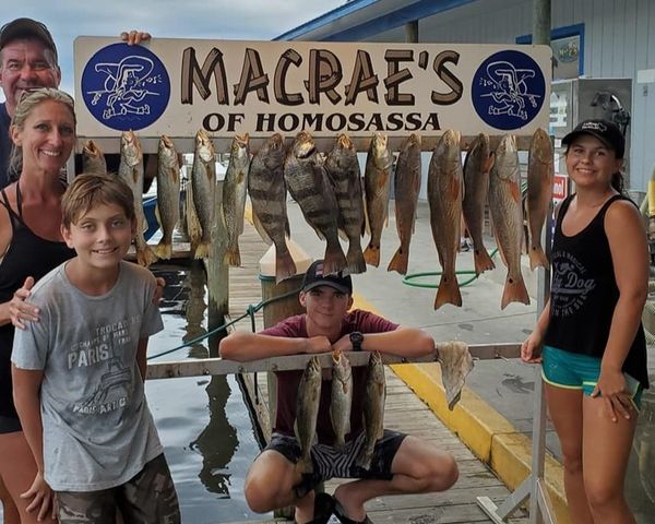 Finntastick Charters