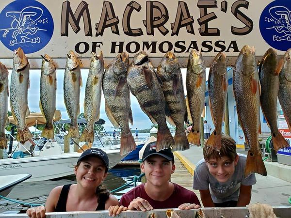 Finntastick Charters