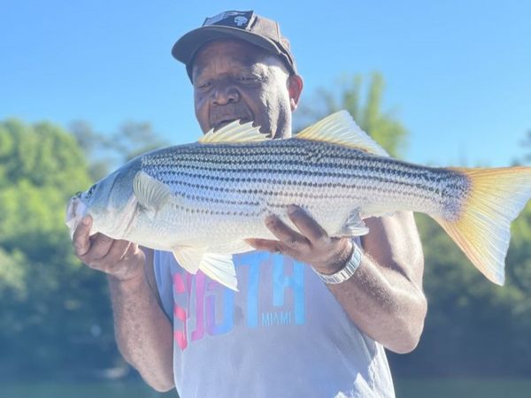 ProFishing Guide Services