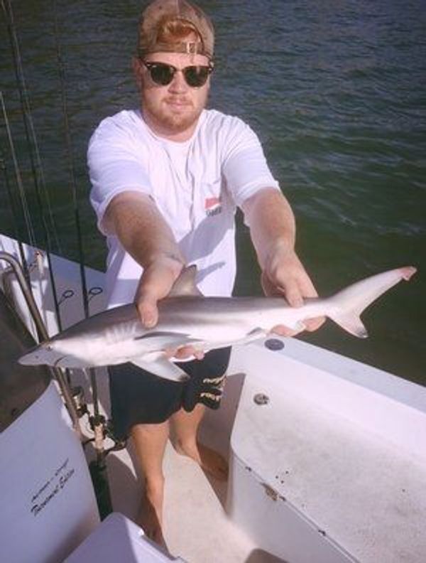 Downtown Tampa Charters