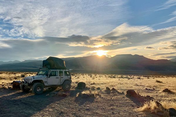Buffalo Overland