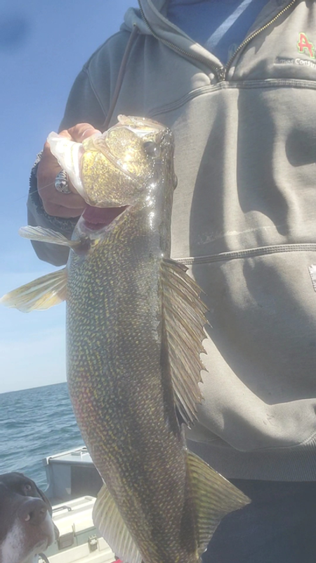 Old School Fishing Guide Service