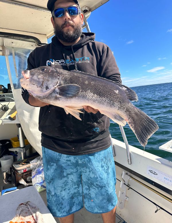 Rogue Charter
