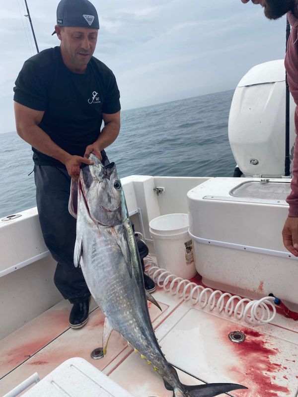 Unreel Sportfishing 