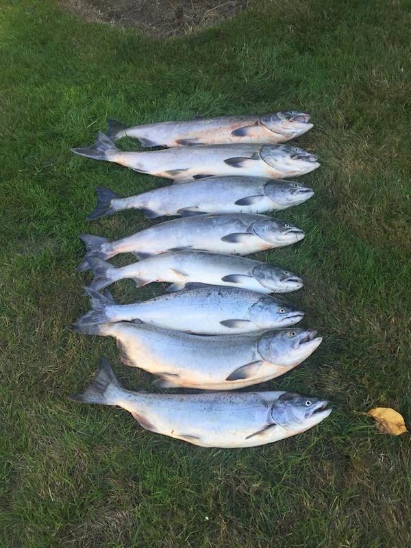 JT's NW Guide Service