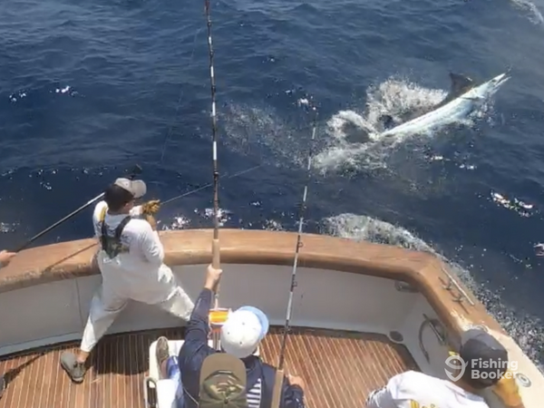 Citation SportFishing