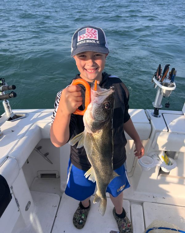 Captain Ken’s Wild Wings