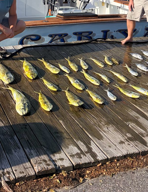 Carly A Sportfishing