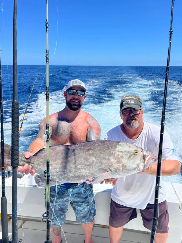 Full Contact Charters