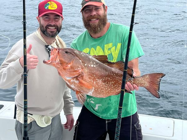 Full Contact Charters