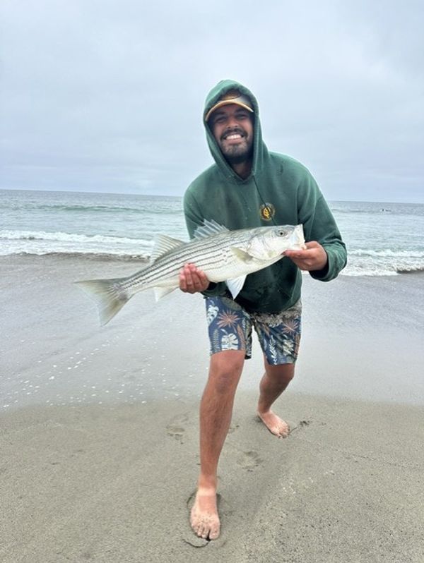 Strip Set Fly Fishing Adventures