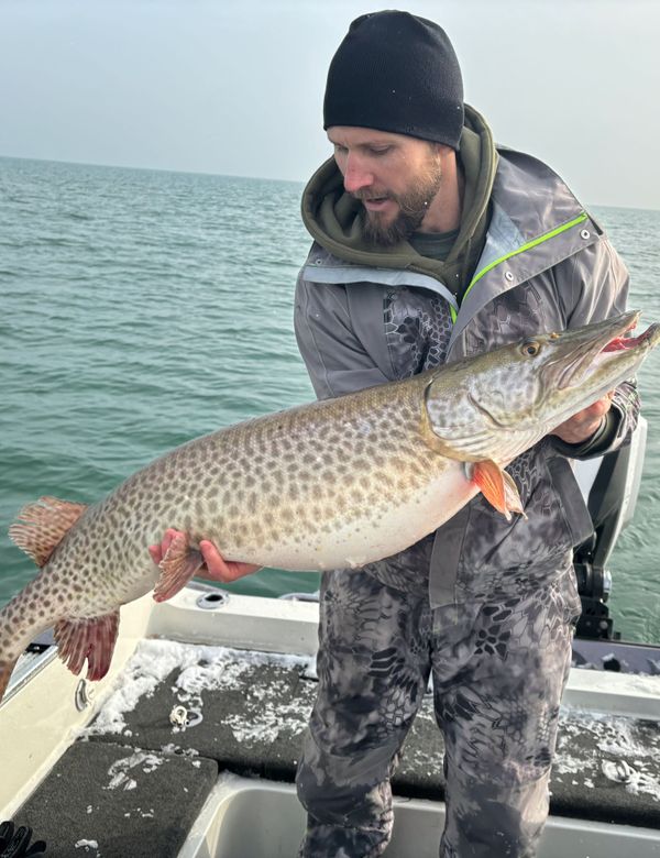 Reel Therapy Sportfishing LLC