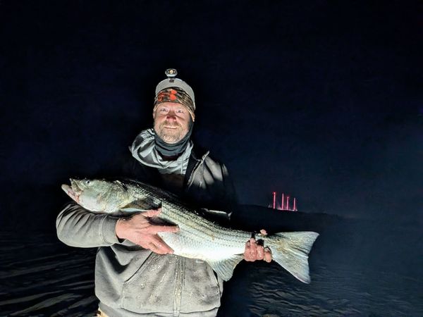 One Fish At A Time