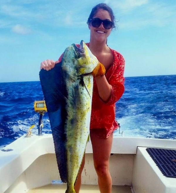 wasabi sportfishing