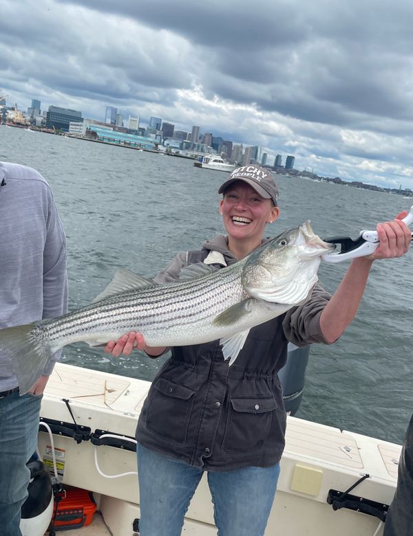 Blueline  Fishing  Charters