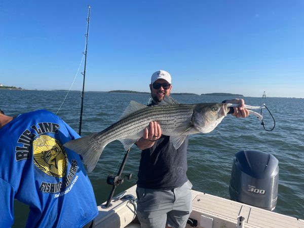 Blueline  Fishing  Charters