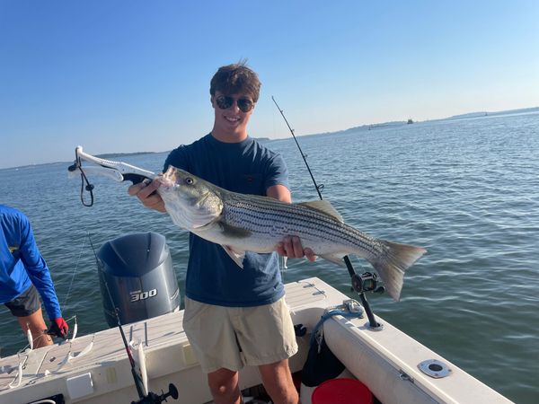Blueline  Fishing  Charters