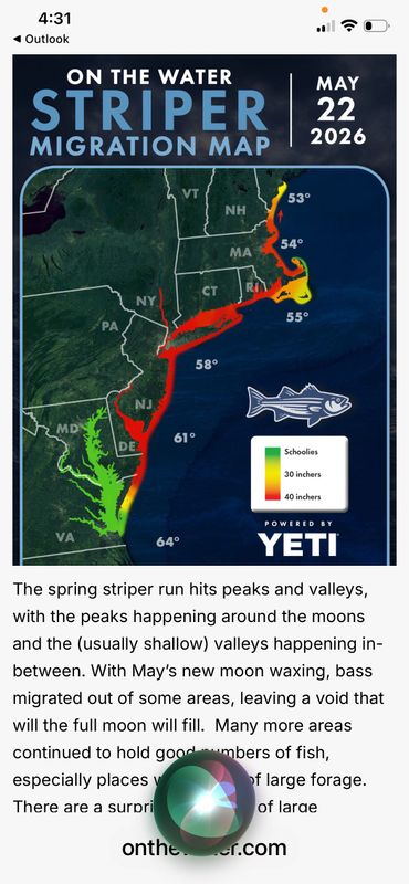Blueline  Fishing  Charters