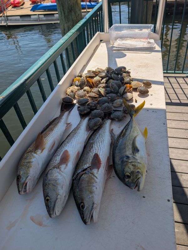 Fishbonz Charters LLC