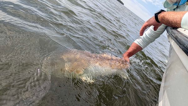 Fishbonz Charters LLC