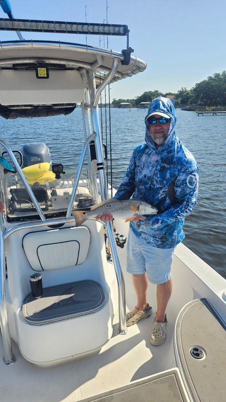 Addicted to Scales & Tail Charters