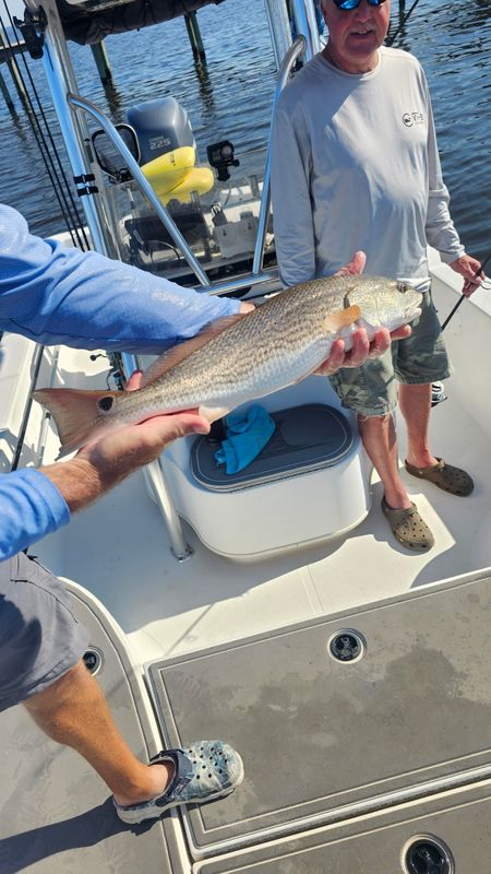 Addicted to Scales & Tail Charters