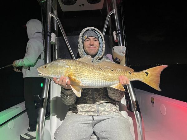 Addicted to Scales & Tail Charters