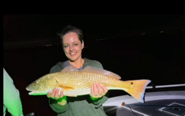 Addicted to Scales & Tail Charters