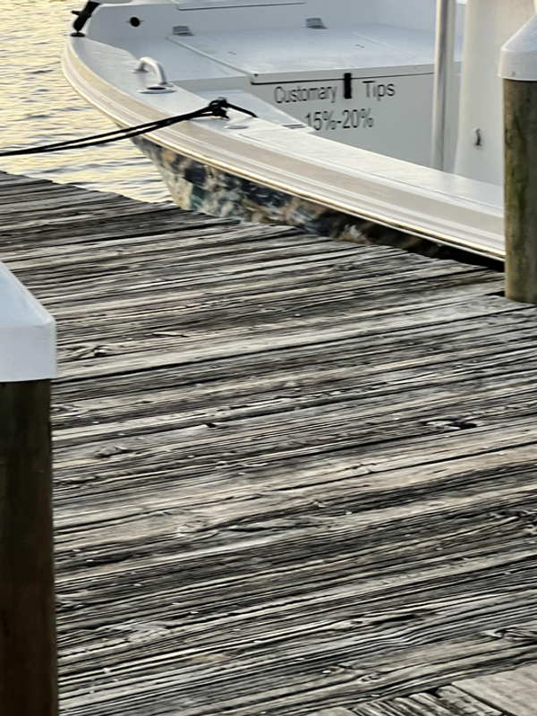 Addicted to Scales & Tail Charters