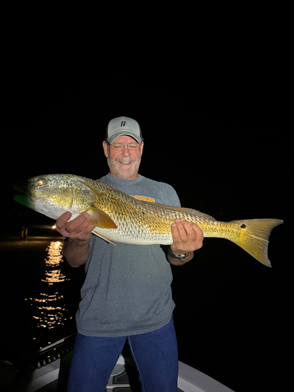 Addicted to Scales & Tail Charters