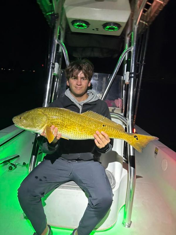 Addicted to Scales & Tail Charters