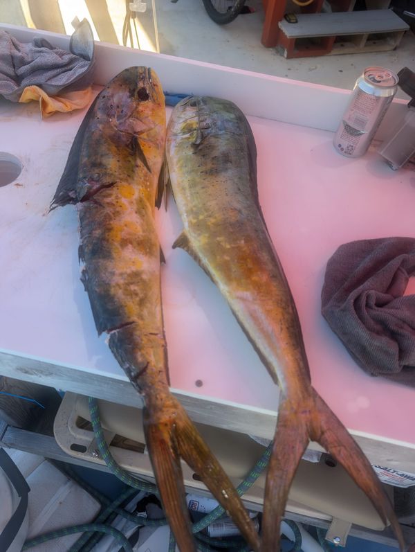 Salty Paradise Charters