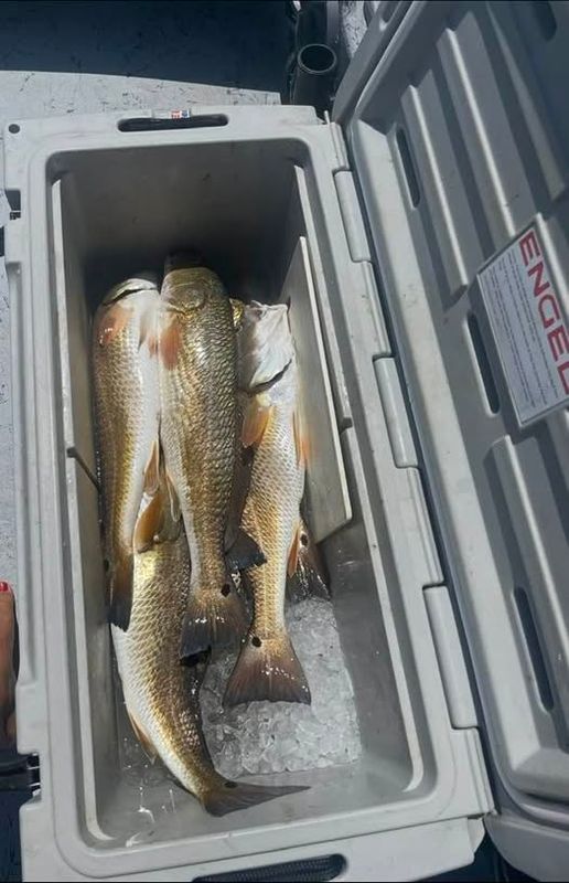 Fishin' All The Time Guide Service