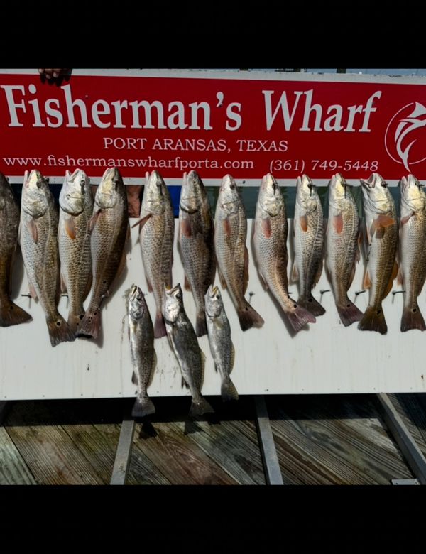 Fishin' All The Time Guide Service