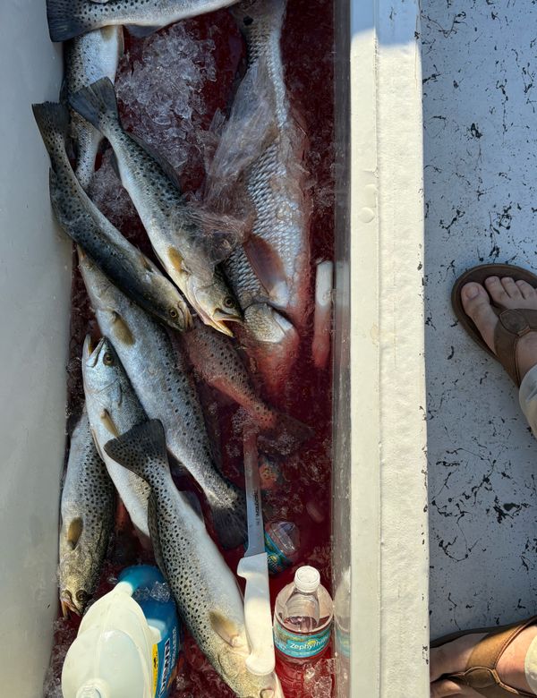 Mason Creek Outfitters