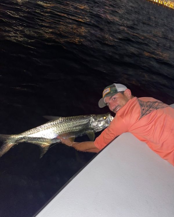 Silver Crescent Fly Fishing