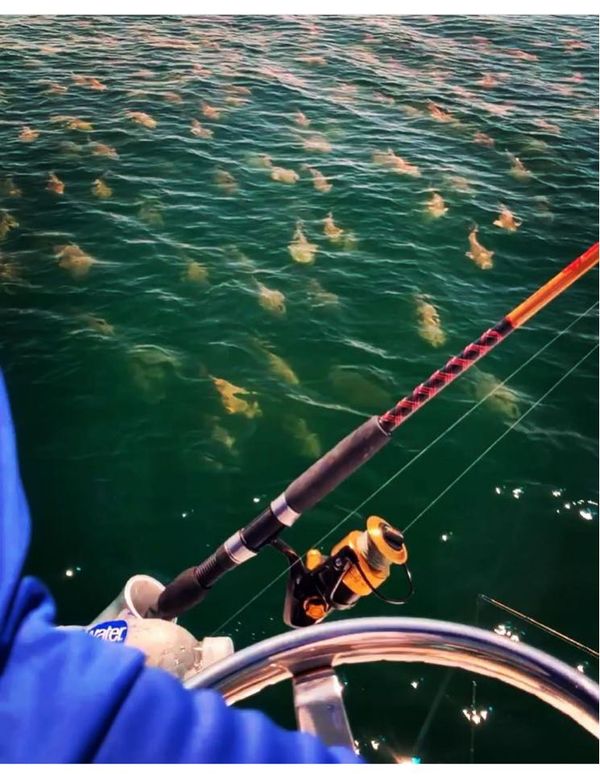 Crushin It Sportfishing