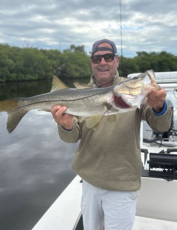 Glades & Gills Backcountry Guide Service