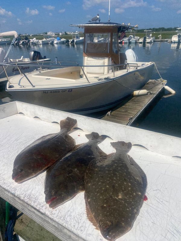 Nightwatch Sport Fishing