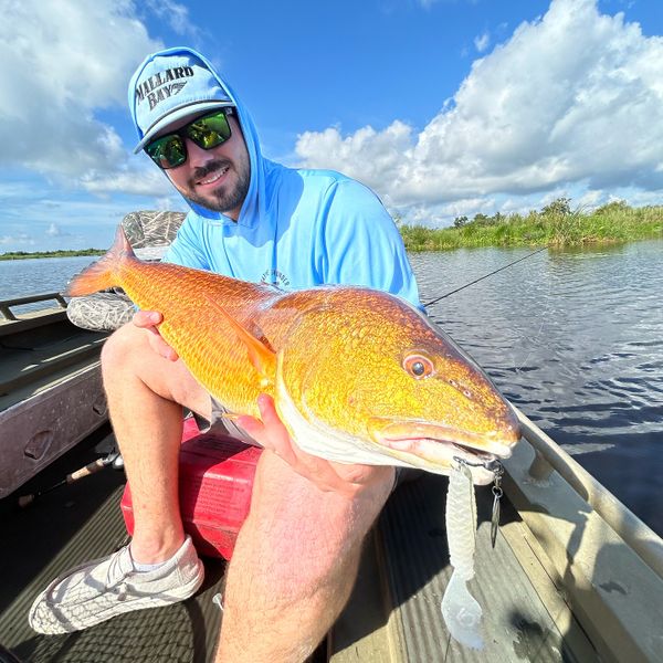 Rojo Charters