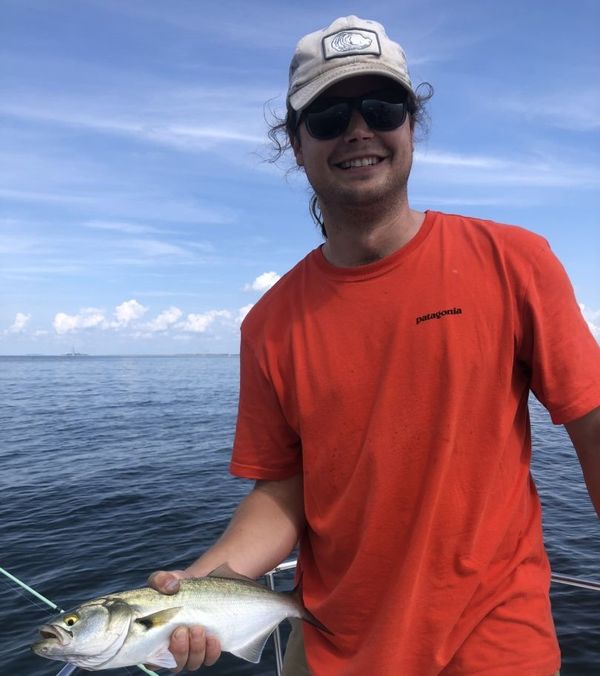 Bay Bound Guide Service