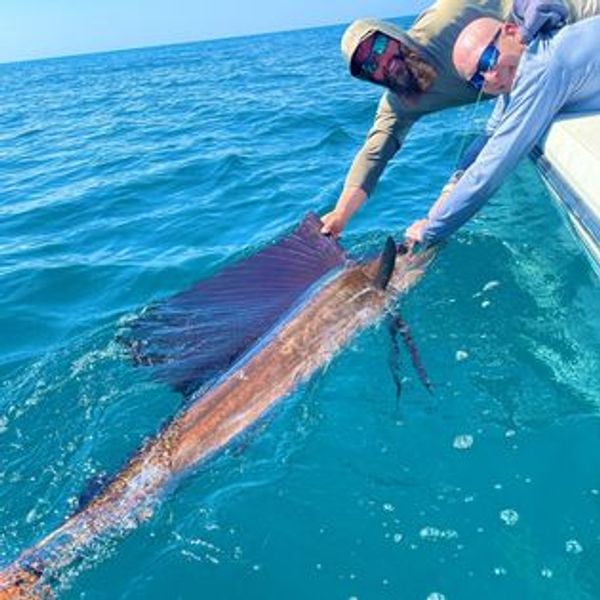 Airborne Outdoors Fishing Charters
