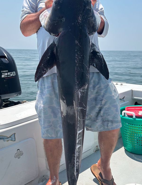 FIN-ATIC Sport Fishing
