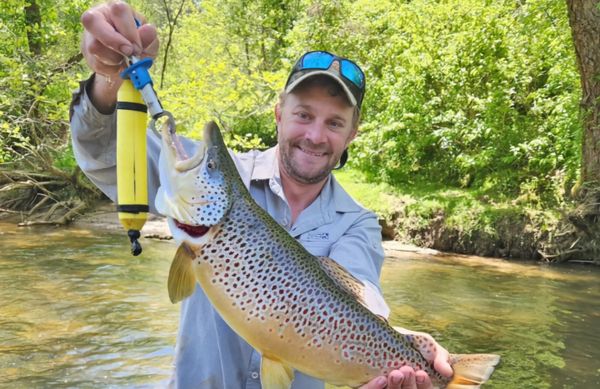 Trout Talkin' 