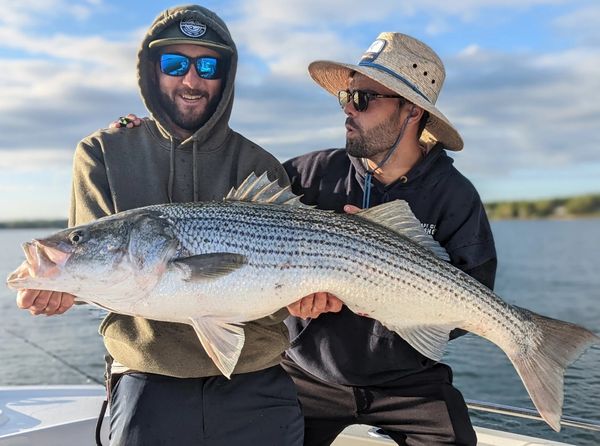 Rocks Pebbles and Sands